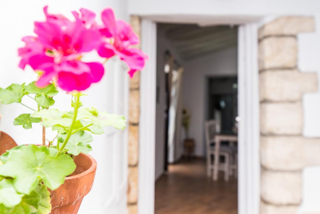 Apartamento Casa Bodega Triana Vejer de la Frontera Exterior foto
